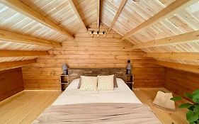 Mountain Eco Shelter 6