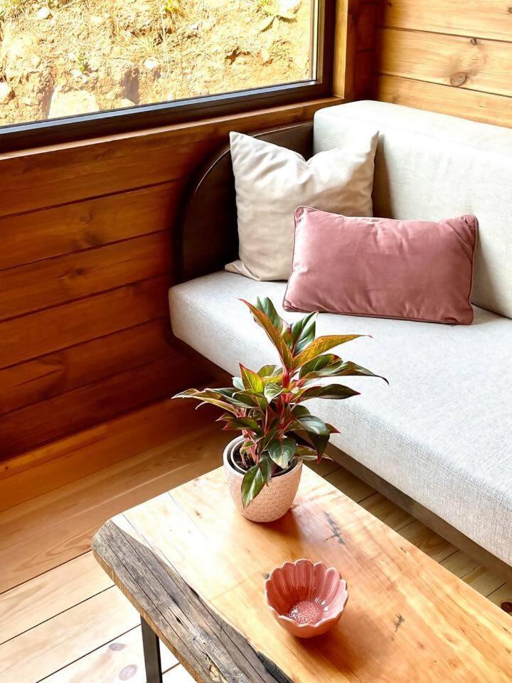 Hotel Mountain Eco Shelter 6 Funchal  Exterior foto